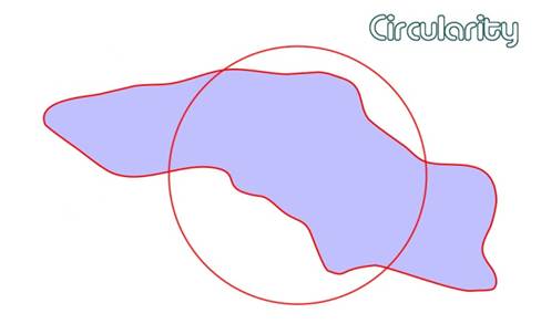 Occhio circullarity index